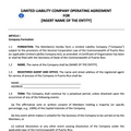 MODELO DE LIMITED LIABILITY COMPANY OPERATING AGREEMENT